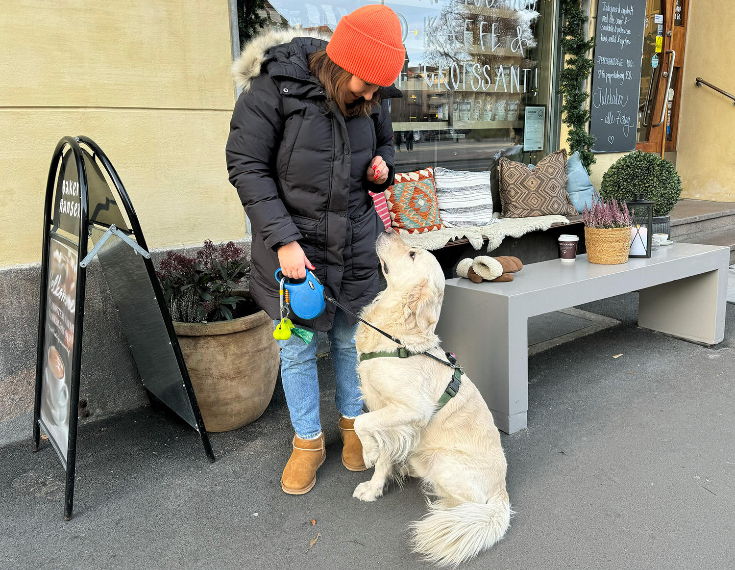 Hunden Bourbon og hans eier Anna ser mot hverandre