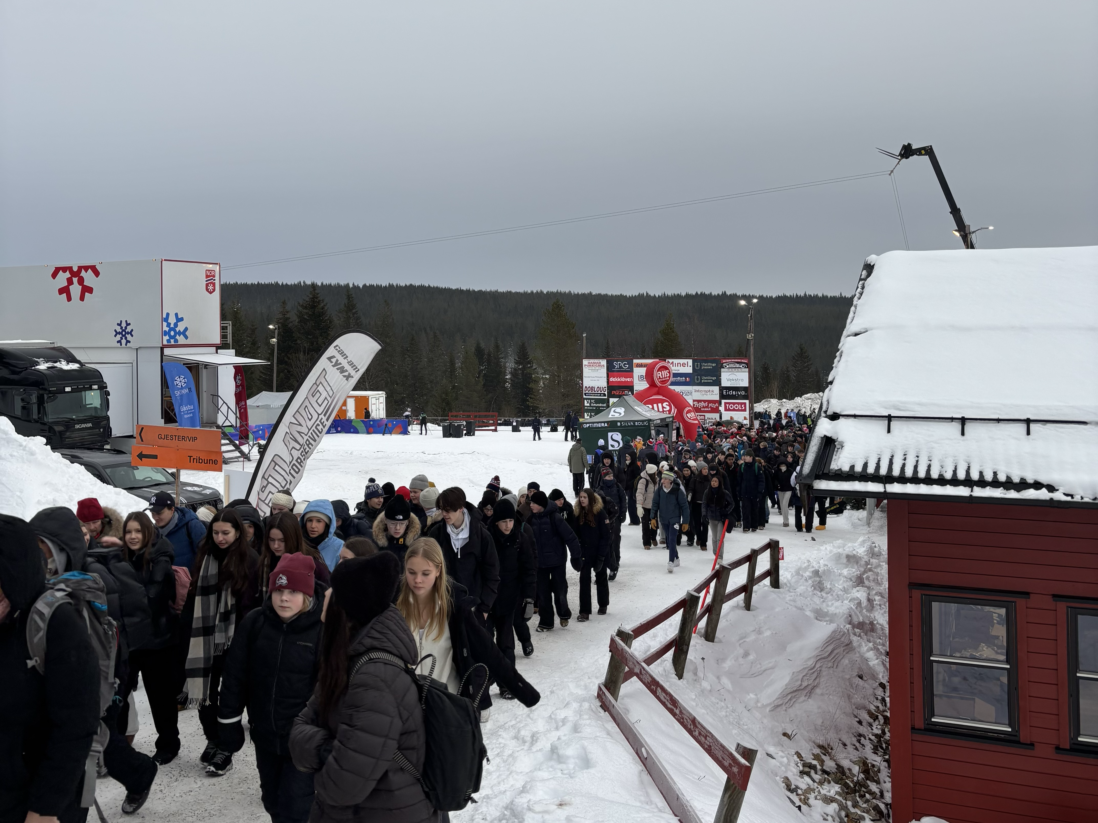 Elever på NM i langrenn