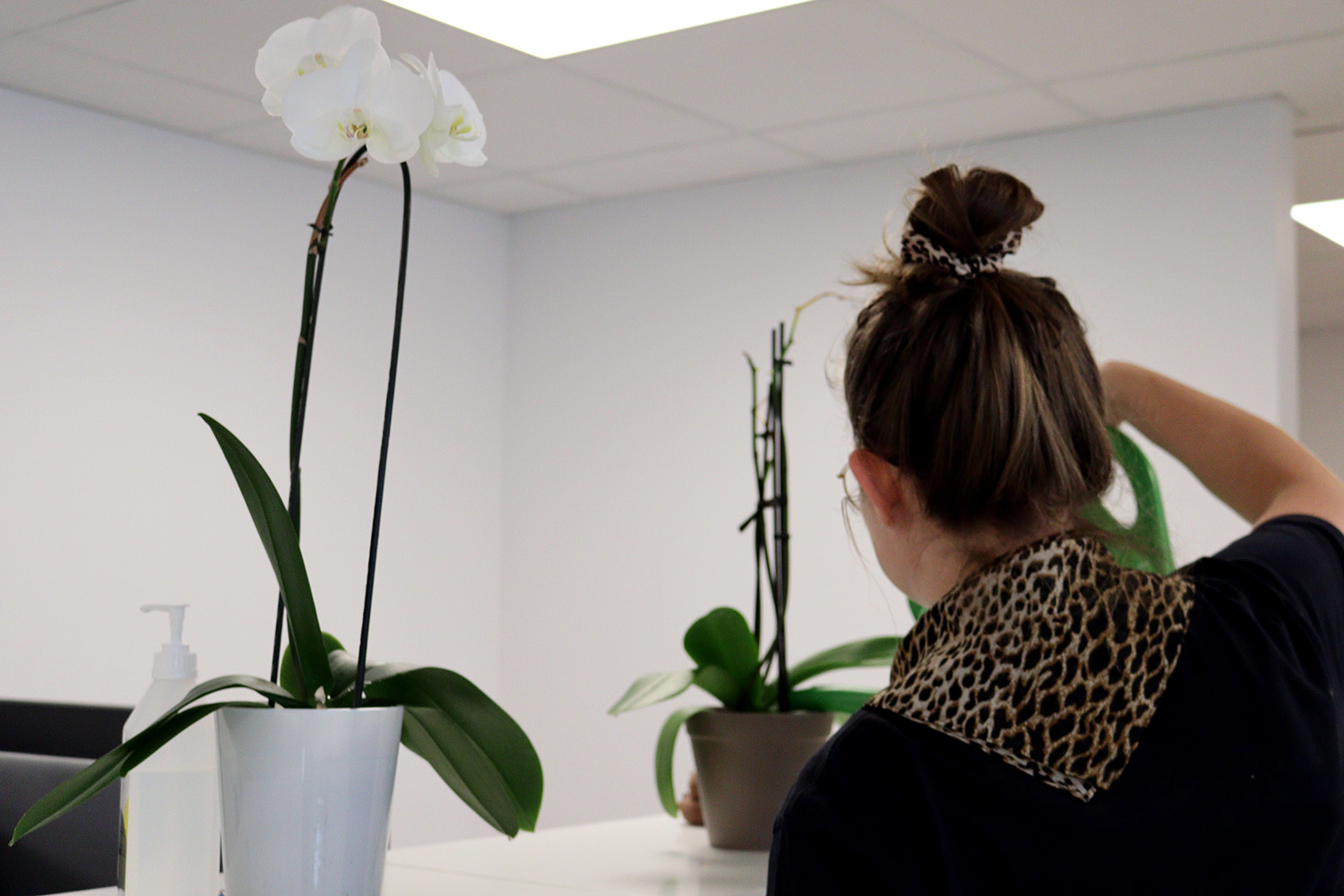 Nav-brukeren vanner blomster på kontoret