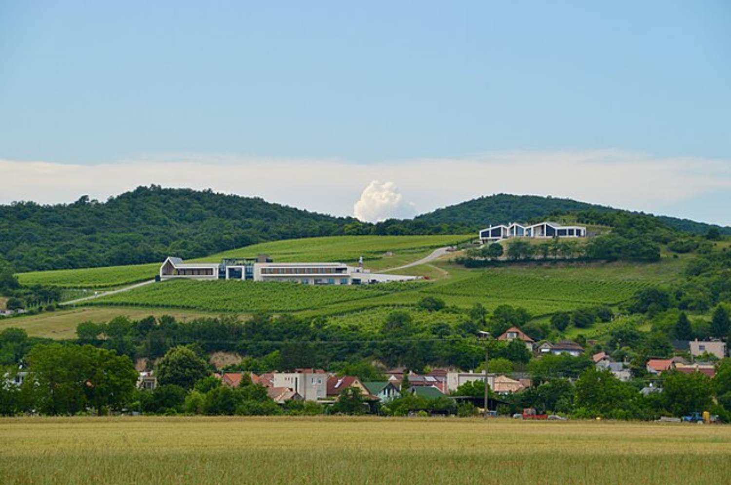 Et landskapsbilde med utsikt mot en gård. Masse grønt gress og blå himmel.