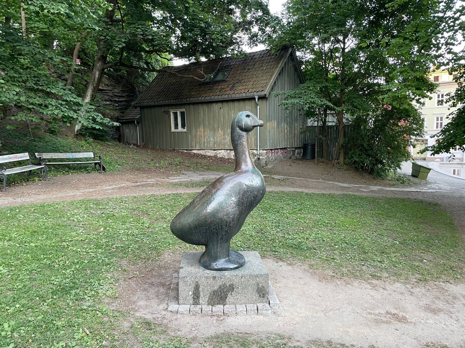 Gåsa ved Damstredet er til vanlig grønngrå