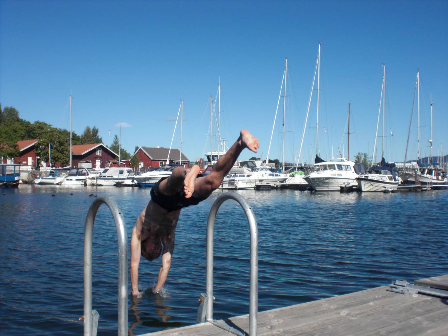 Halvard stuper