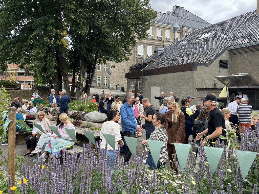 mange mennesker i hage