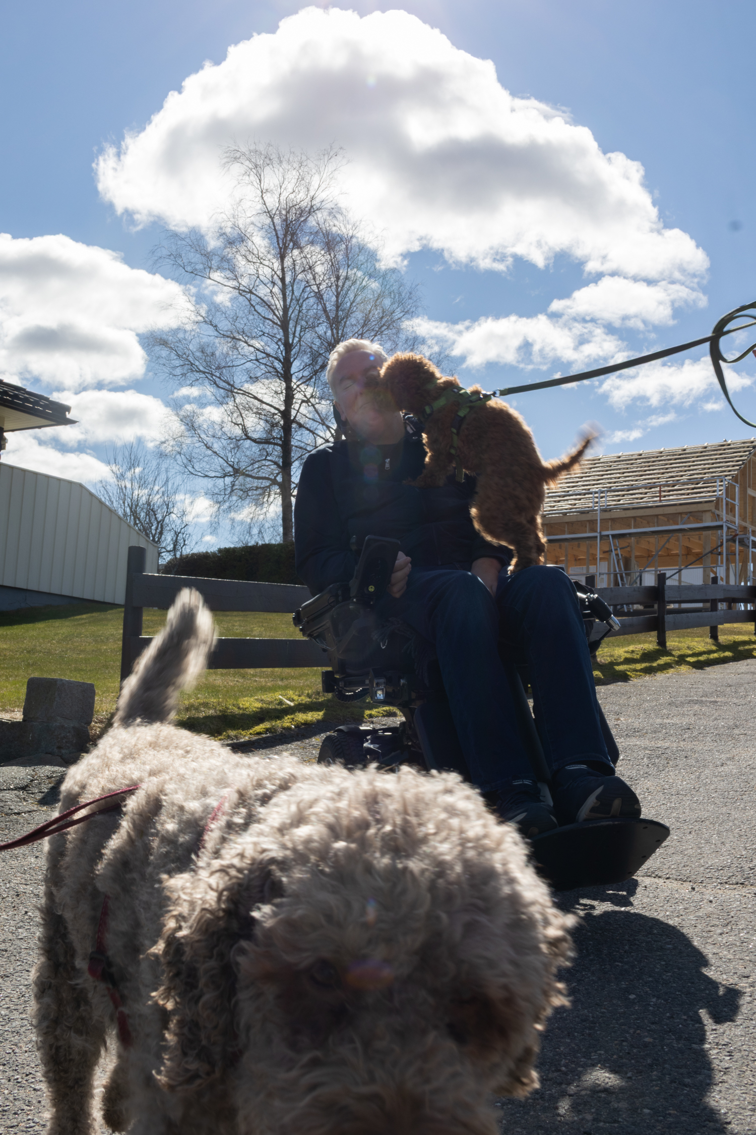 Christer sitter i rulelstol med en liten hund p&aring; fanget som slikker han i ansiktet. Foran i bildet l&oslash;per enda en hund mot kameraet.