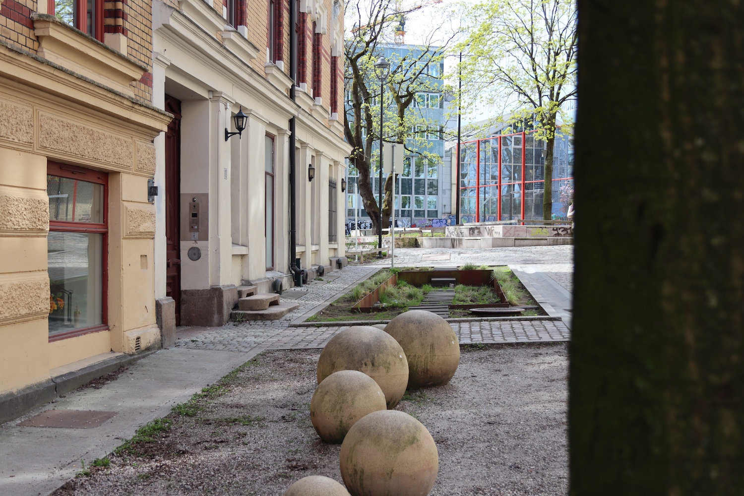 Regnbed med et tre i forgrunn 