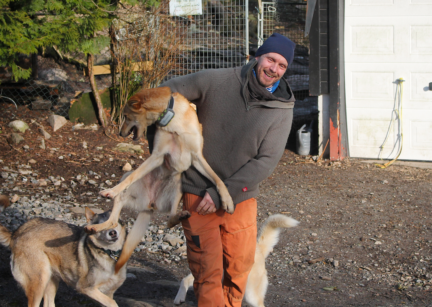 Inge I hundeg&aring;rd