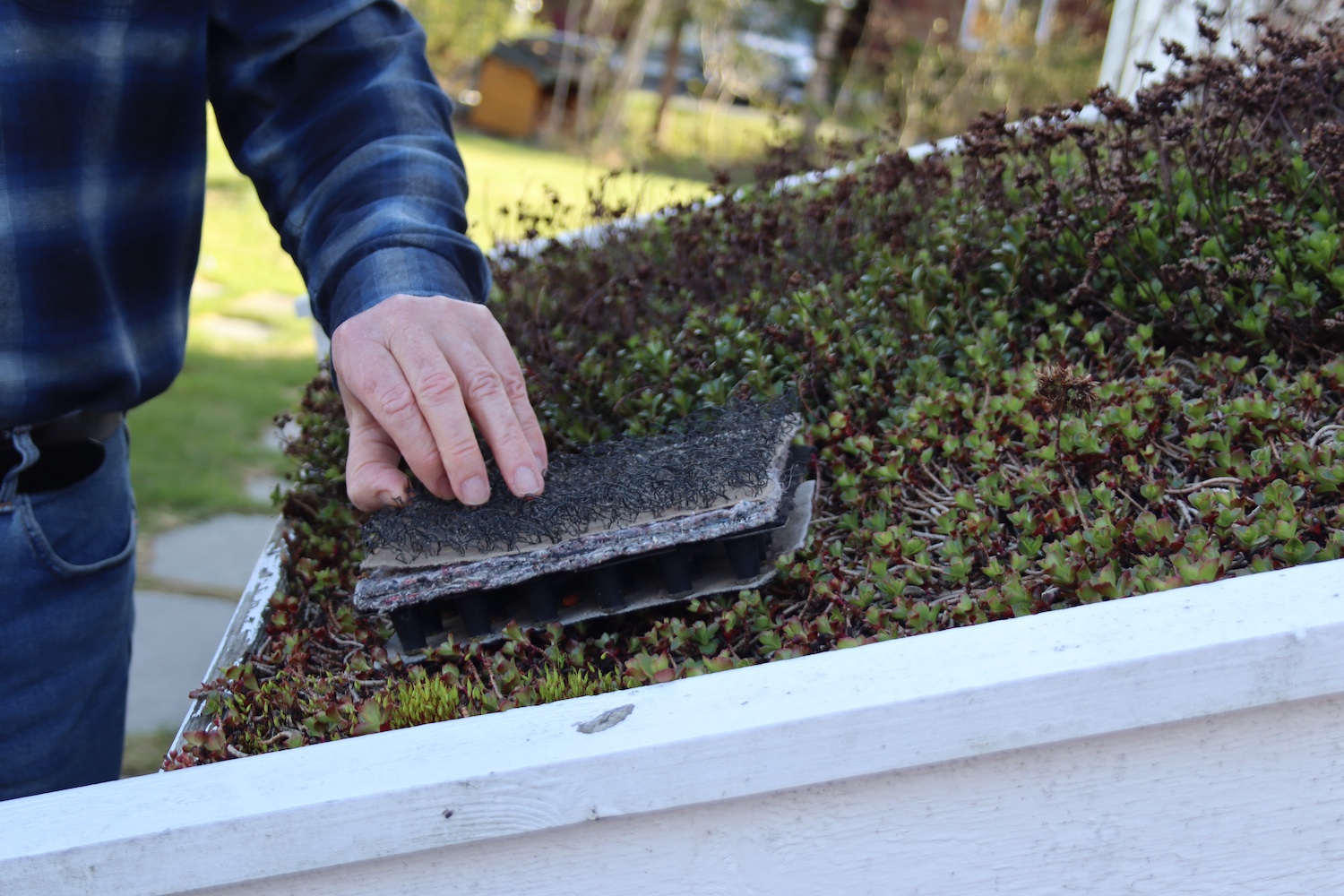 Detaljebilde gr&oslash;nt tak 