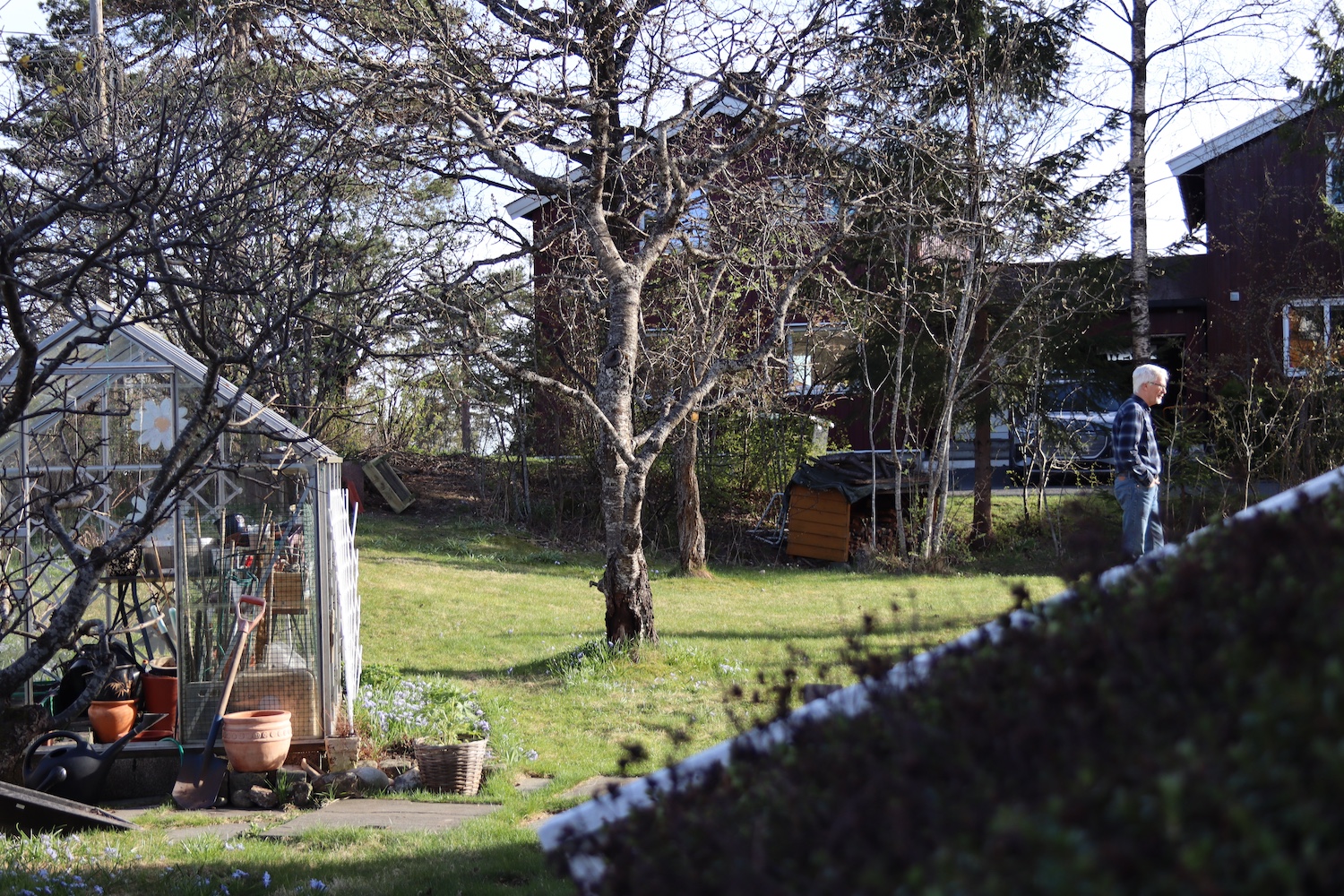 oversiktsbilde av hage 