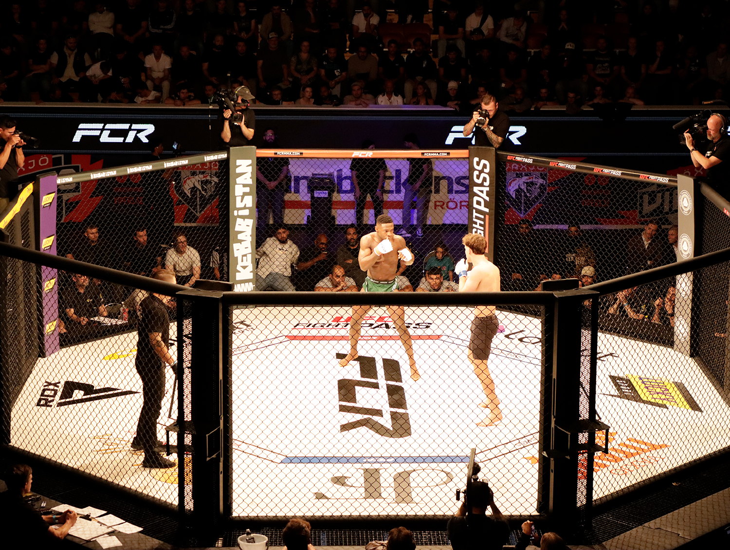 Bilde av MMA ringen.