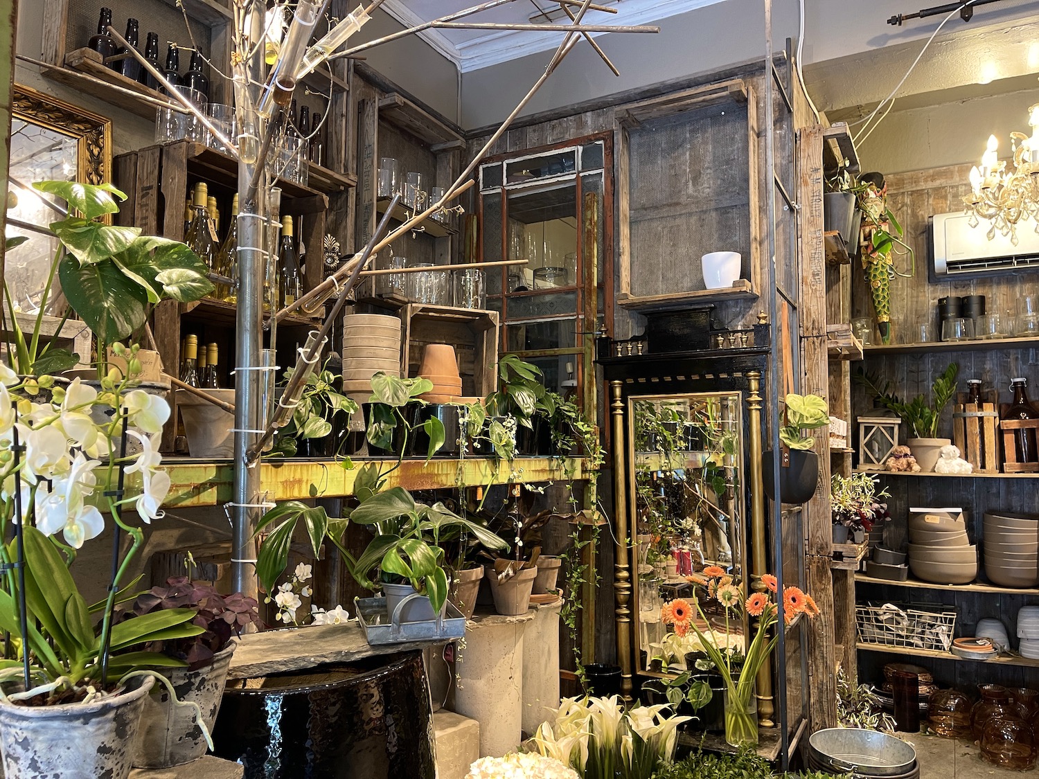 Inne i butikken til Tore Winther blomster
