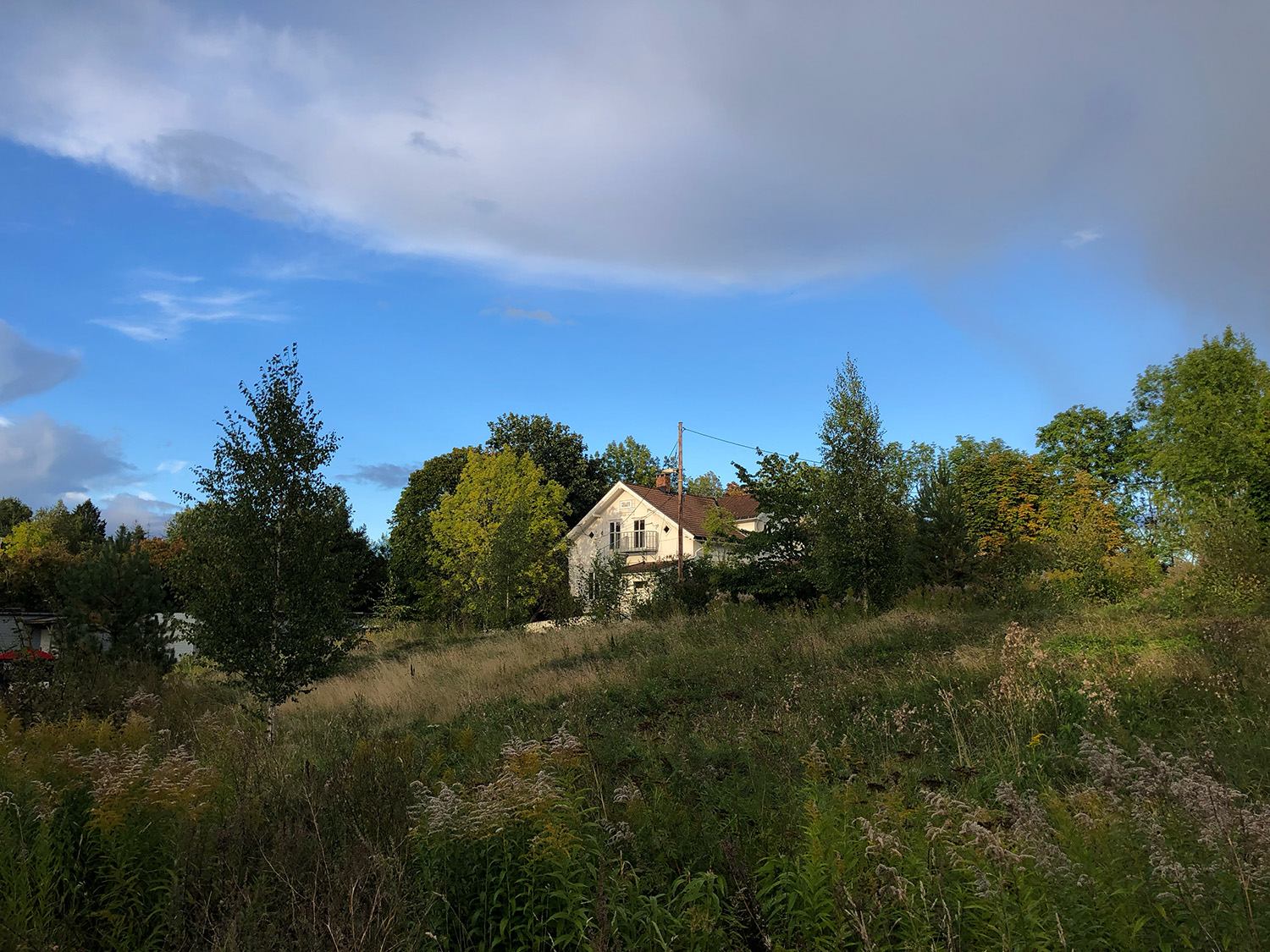 Stor eng med ville blomster på gårdsplassen, våningshuset titter frem i høyden.
