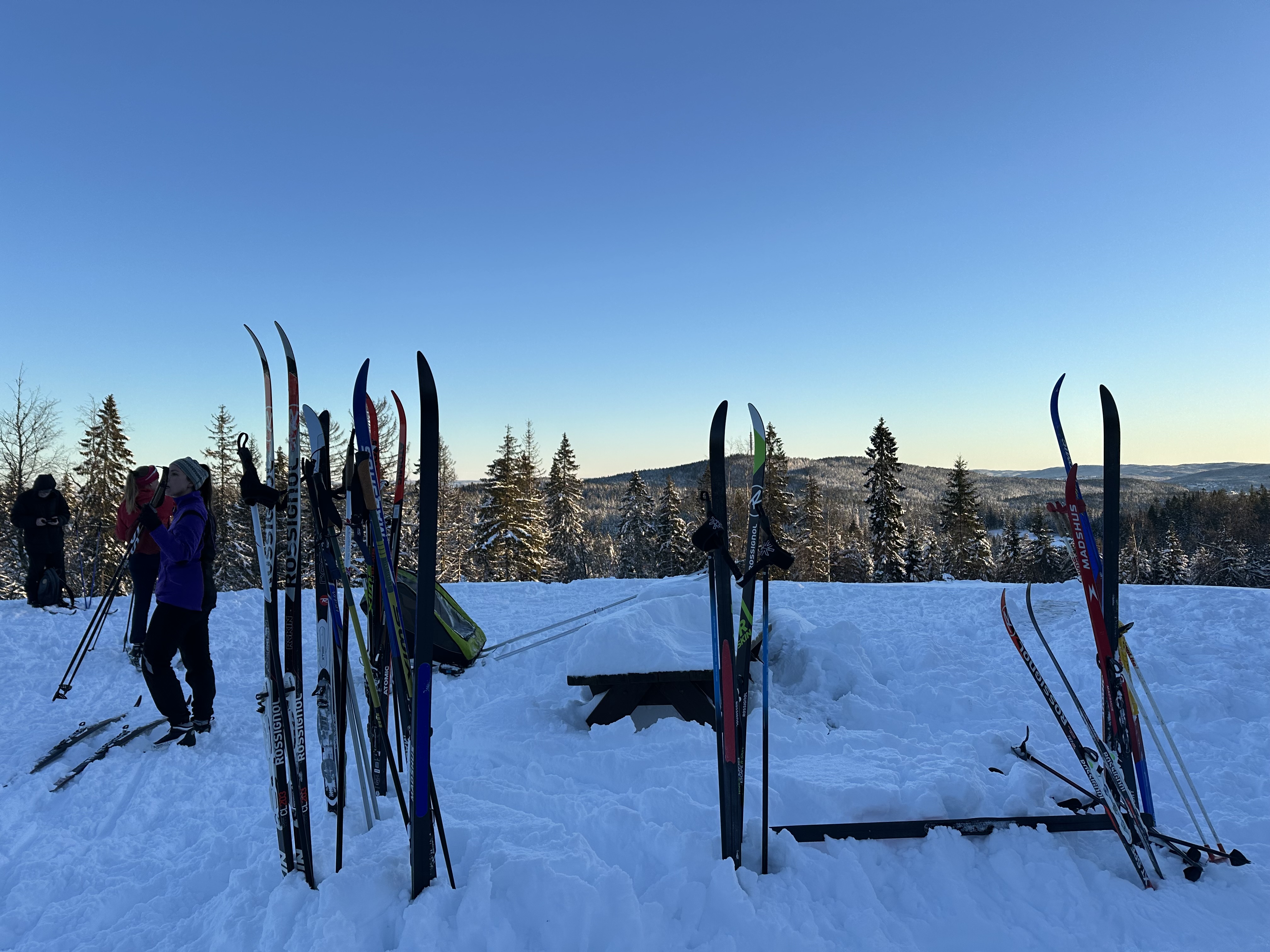 Bilde med utsikt over Nordmarka. Ski i forgrunnen. 