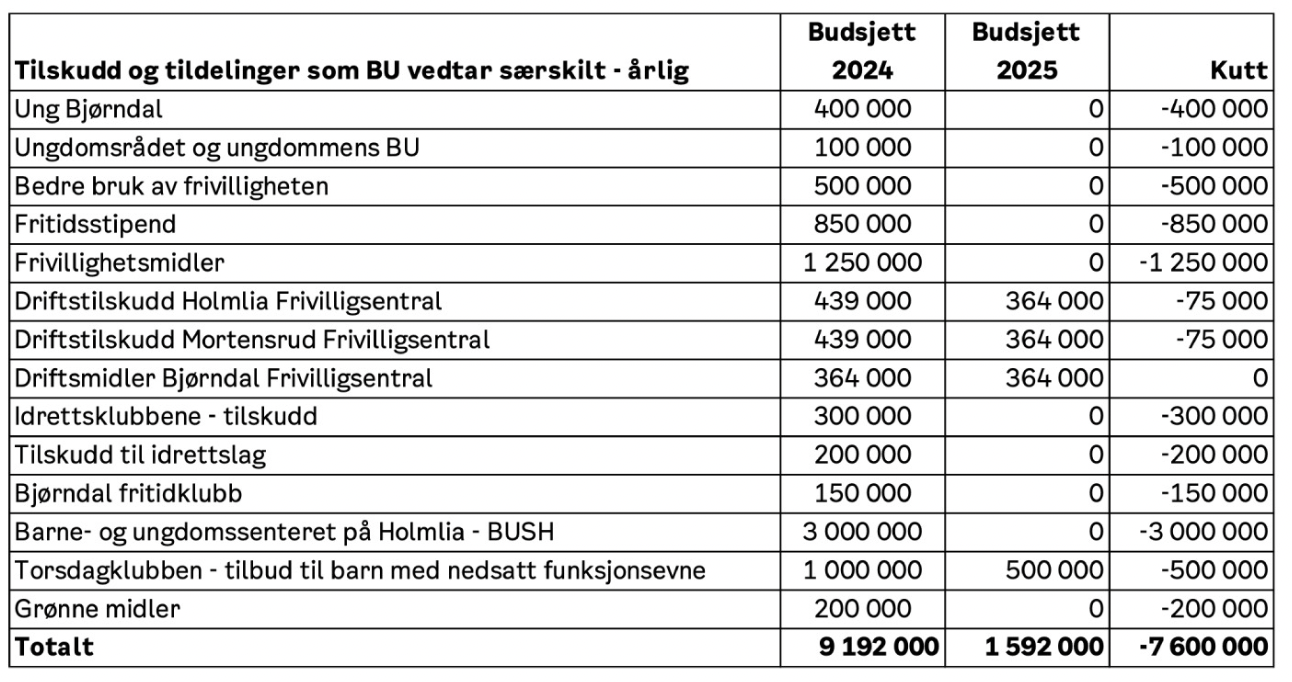 Budsjettforslag