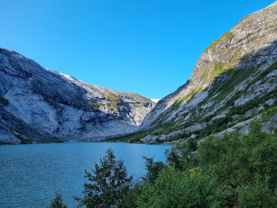 Nigardsbreen, Isbre