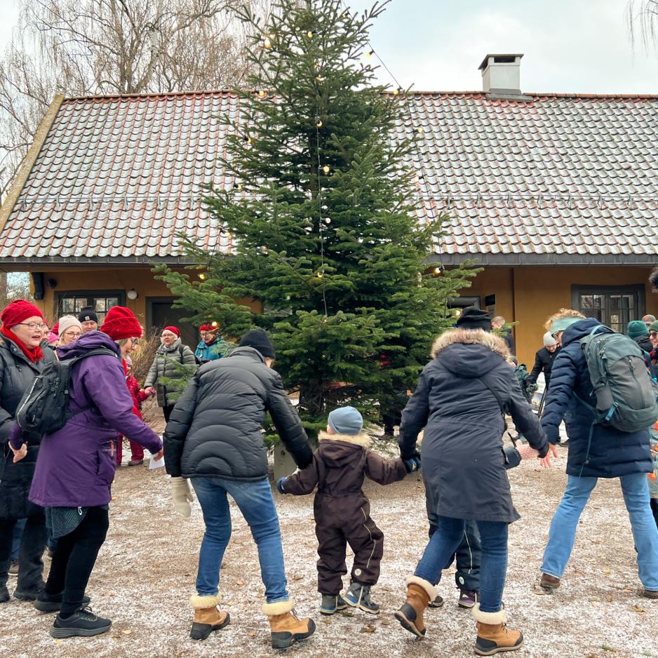 små og store som går rundt et juletre sammen