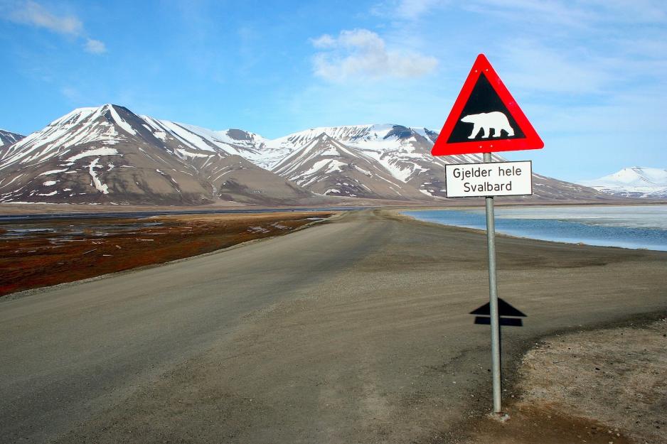 Svalbard Bilde av et skilt med isbjørn