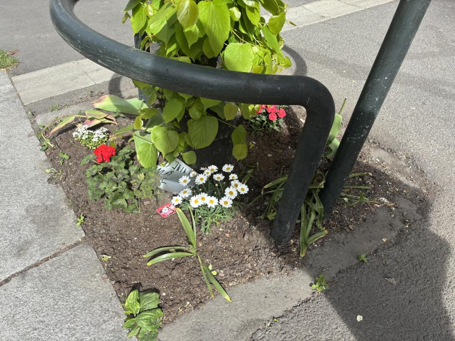 Blomster i Schweigaards gate. Blomster i Schweigaards gate.