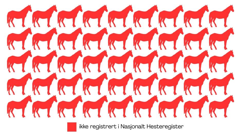 Uregistrerte hester