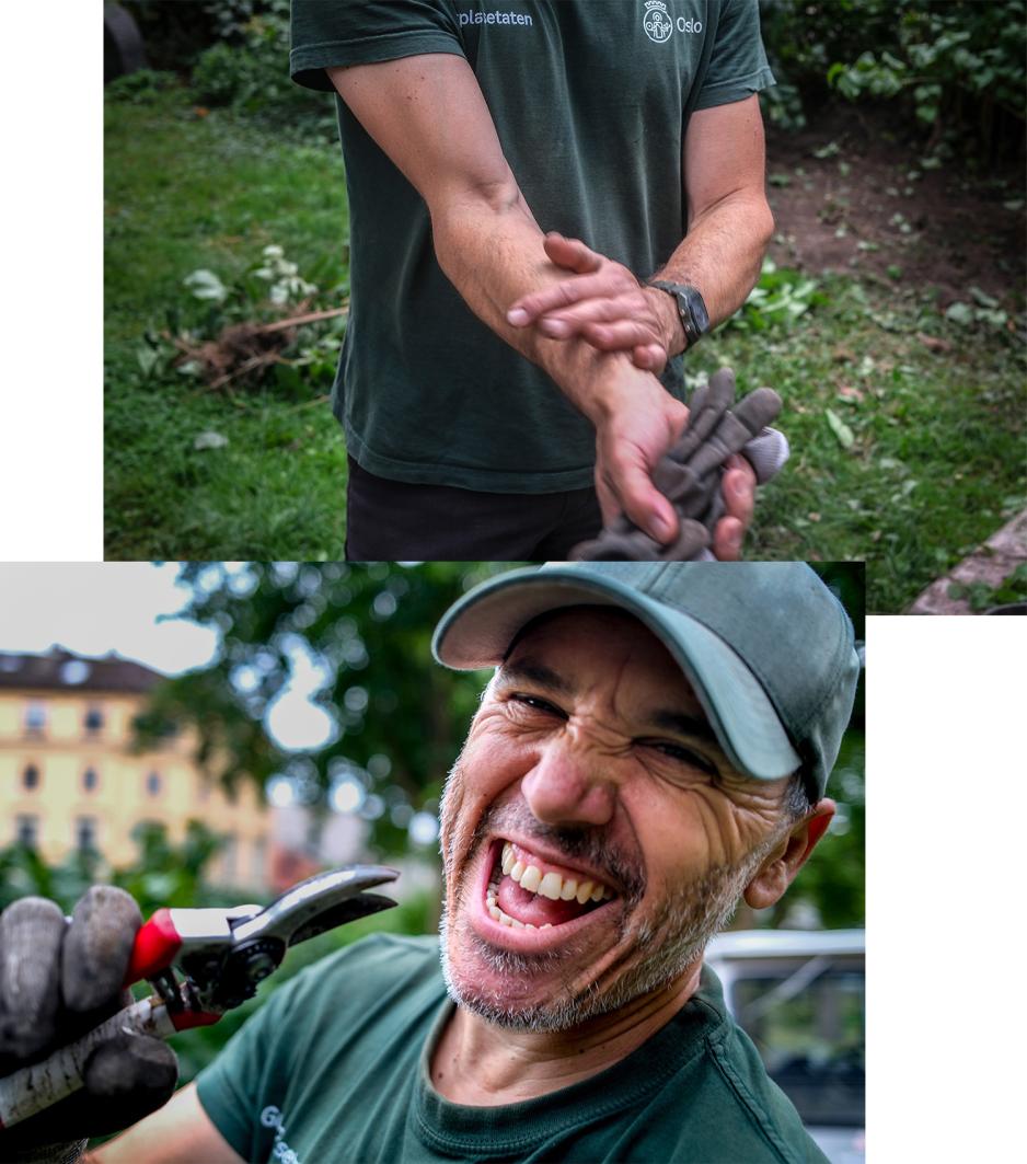 Alexandru