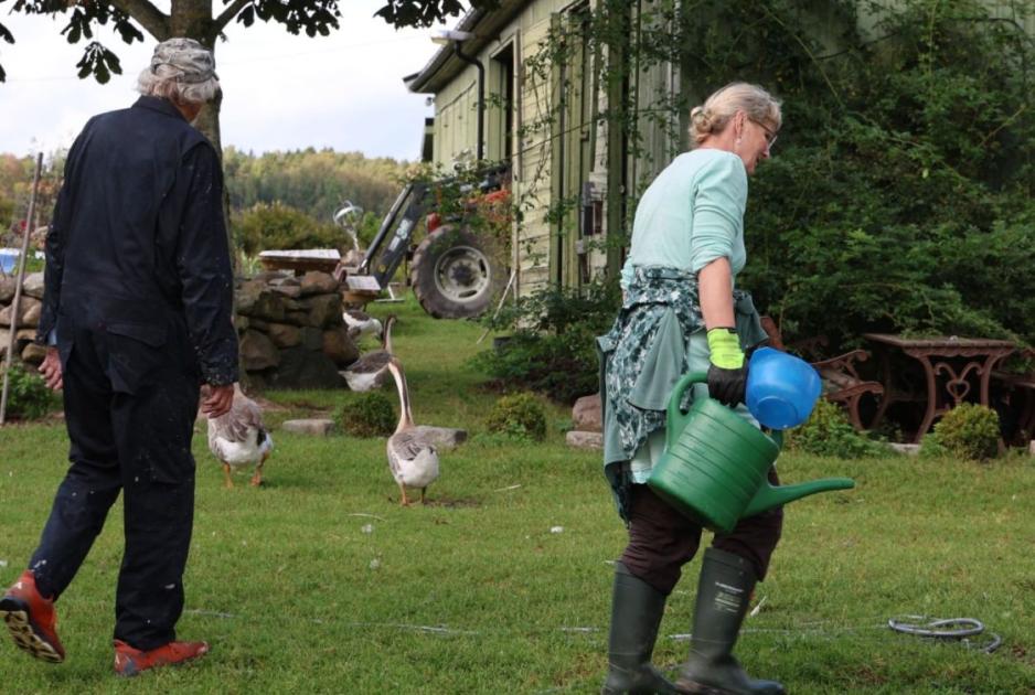 Bakke gård