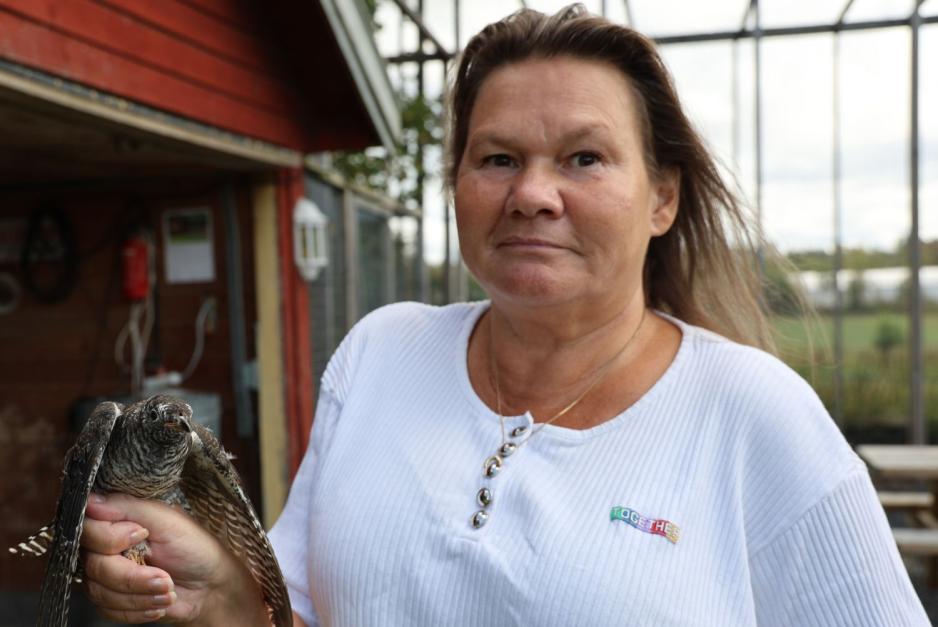 Linda i Fuglehjelpen