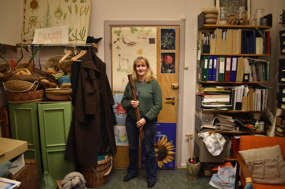 Charlotte Sletten Bjorå med en kanelstang på sitt kontor i botanisk hage 