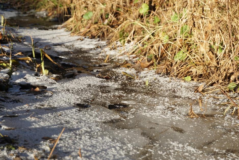 is i bekken ved sognsvann