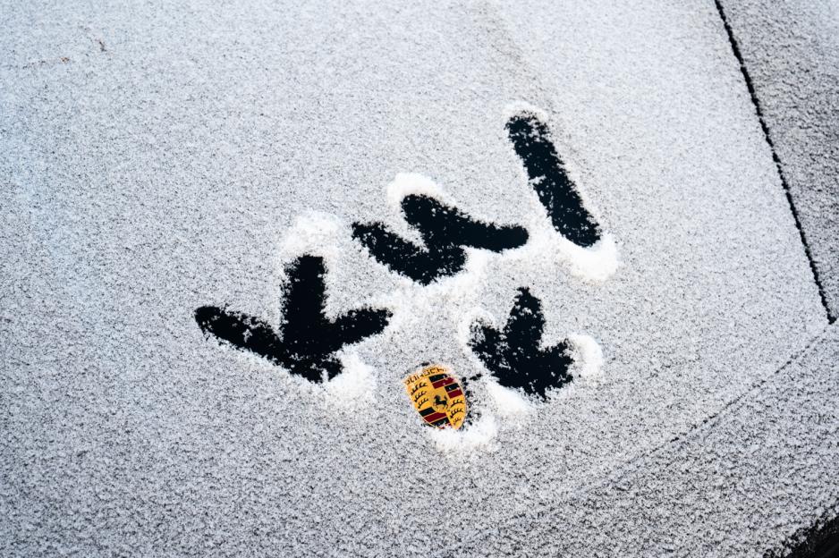 Barna på Nordstrand synes denne Porschen var kul