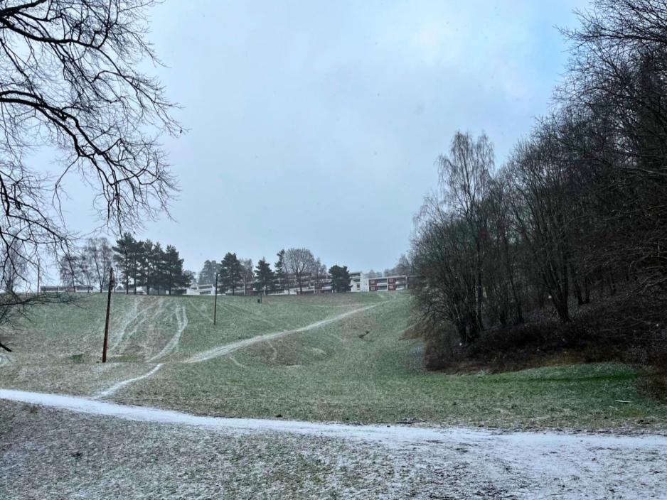 Lysejordet, eit fritidsområdet på Ullern.