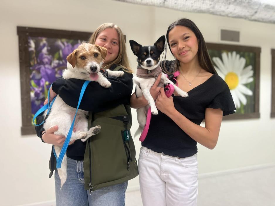 hund, menneske, venner, elever, elevbedrift