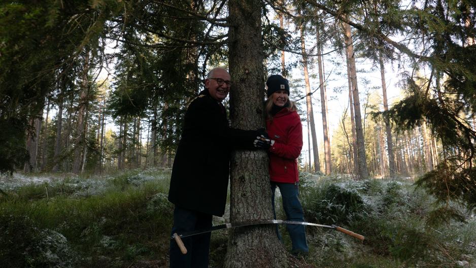 Lord Mayor of Westminster og ordføreren klemmer juletreet 