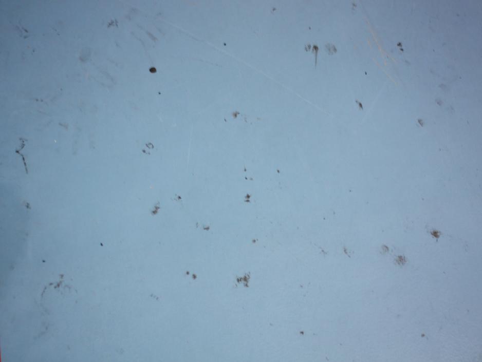 Skittent gulv i Apalløkka idrettshall