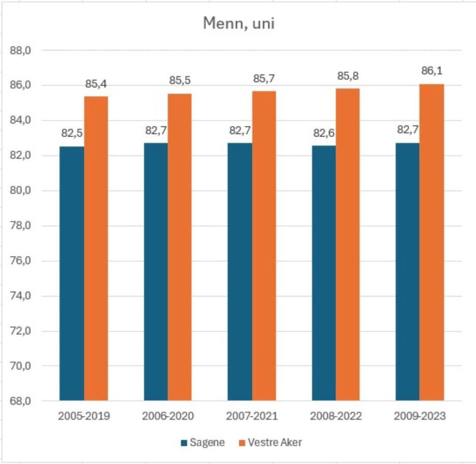 Graf excel utdanning