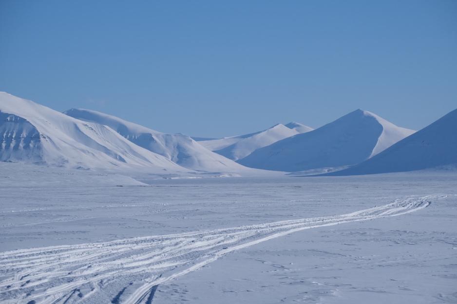 Fjell og sn&oslash; p&aring; Svalbard