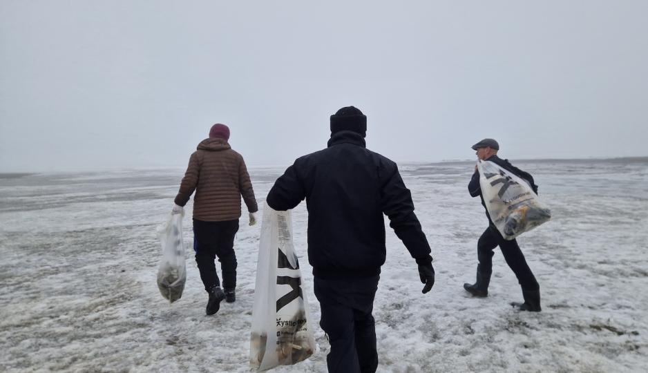 tre i f&oslash;lget g&aring;r over isen