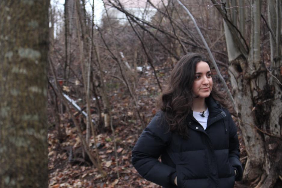 Aurora g&aring;r tur i skogen