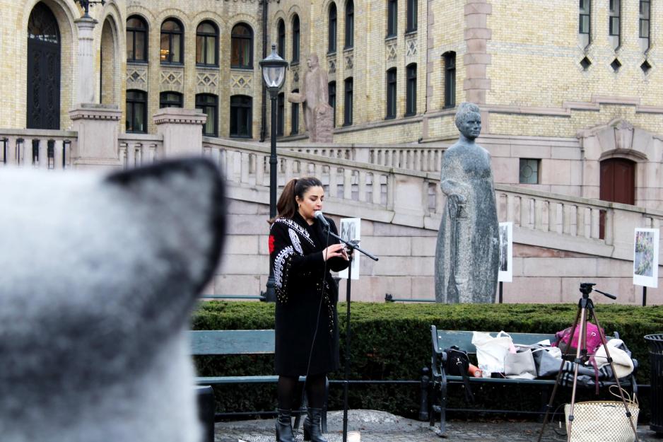 Kvinner taler foran Stortinget
