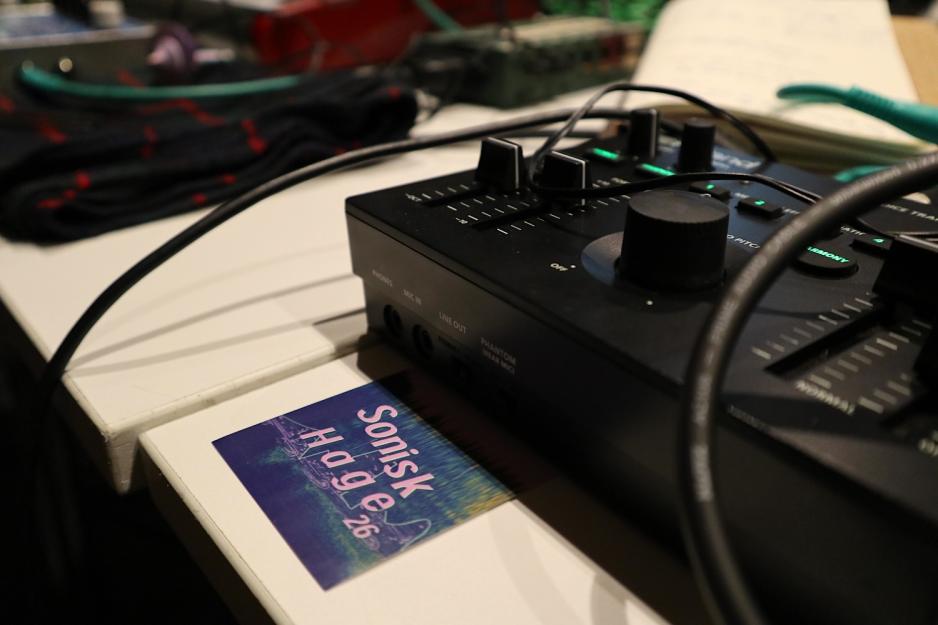 Et klistremerke der det st&aring;r Sonisk hage. 