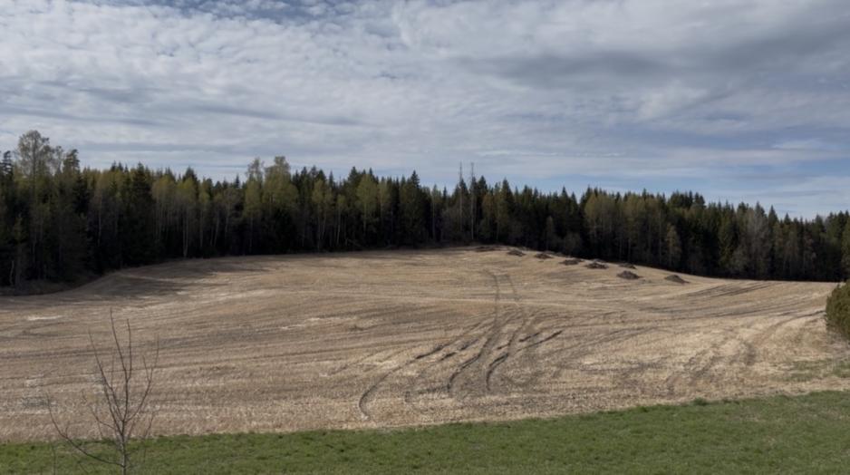 &ldquo;Korn det var br&oslash;det. Br&oslash;d eller ikke br&oslash;d, det var liv eller d&oslash;d.&rdquo;