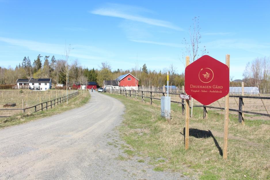 Oversiktsbilde av Druehagen G&aring;rd