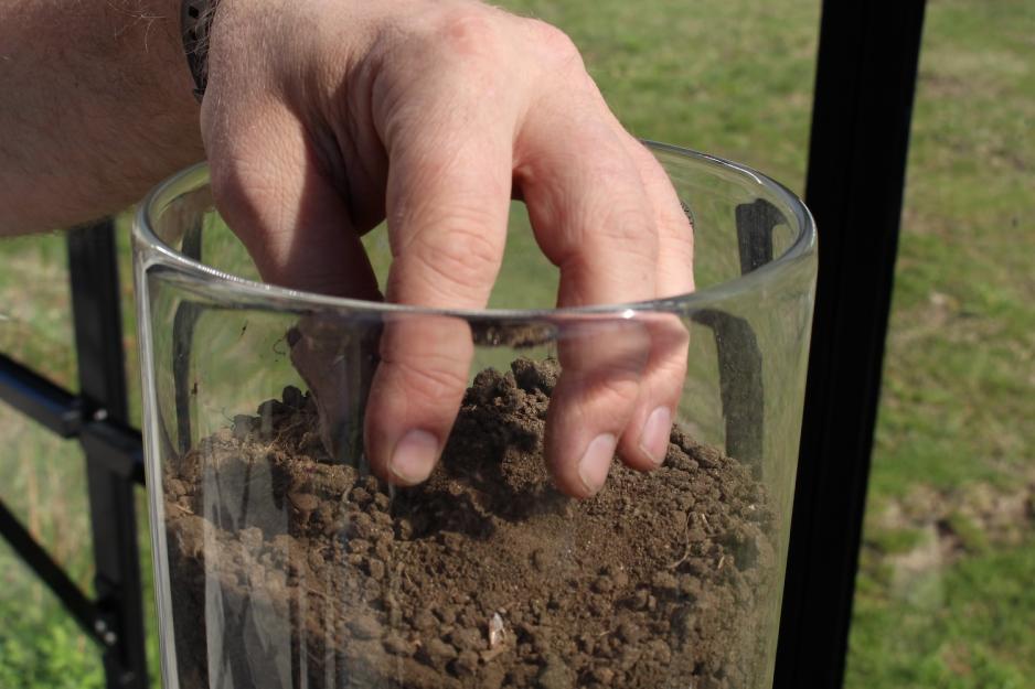 Borander putter h&aring;nden sin i en krukke med jord.
