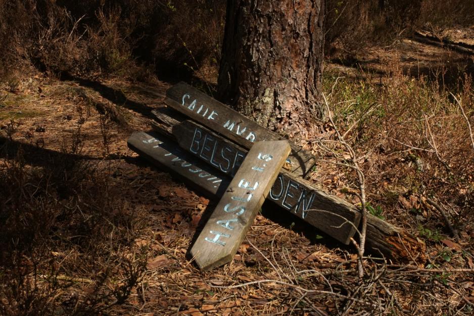 Et demontert skilt i skogen