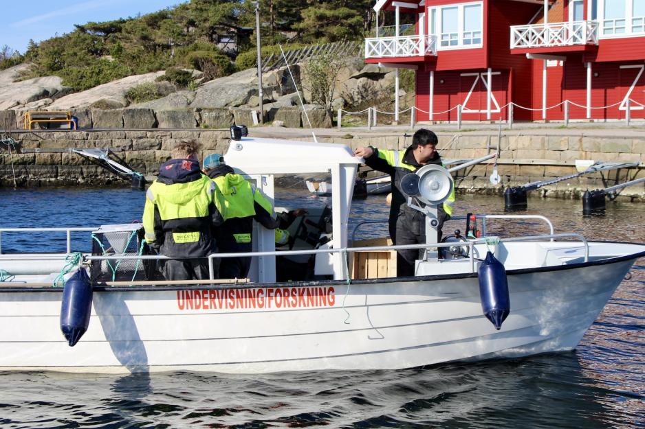 Kalneselevene kj&oslash;rer b&aring;t