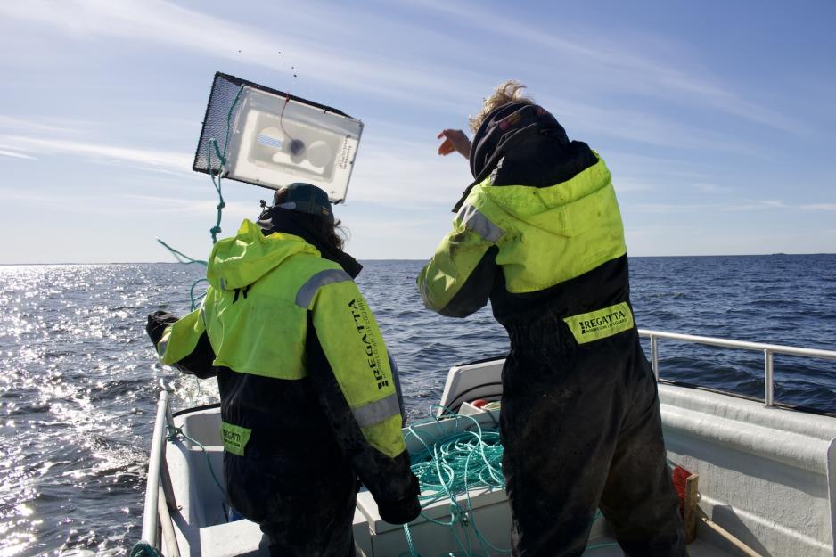 Elevene kaster teiner