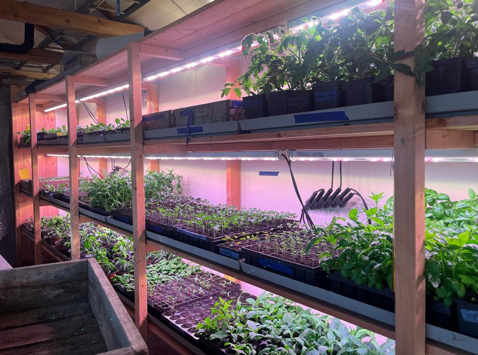 Hyller med tre etasjer holder masse ulike planter. 