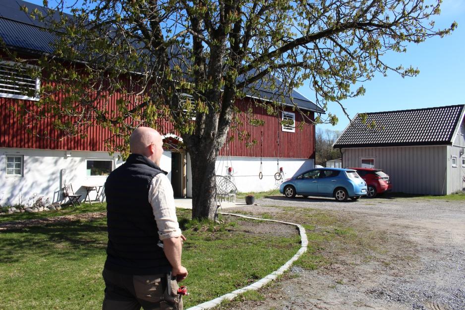 Borander g&aring;r p&aring; g&aring;rdsplassen sin