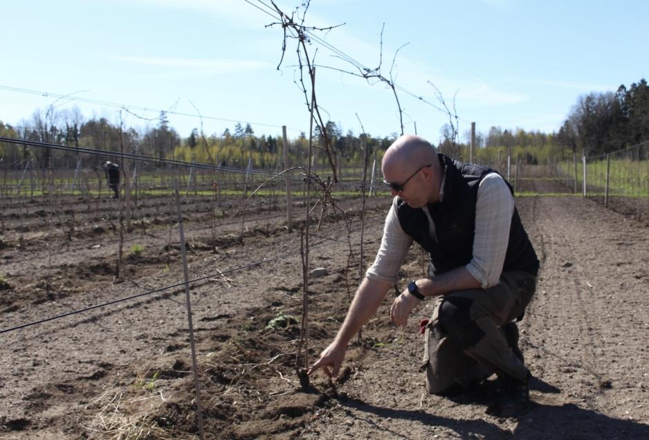 Andreas Borander ute p&aring; vin&aring;keren sin