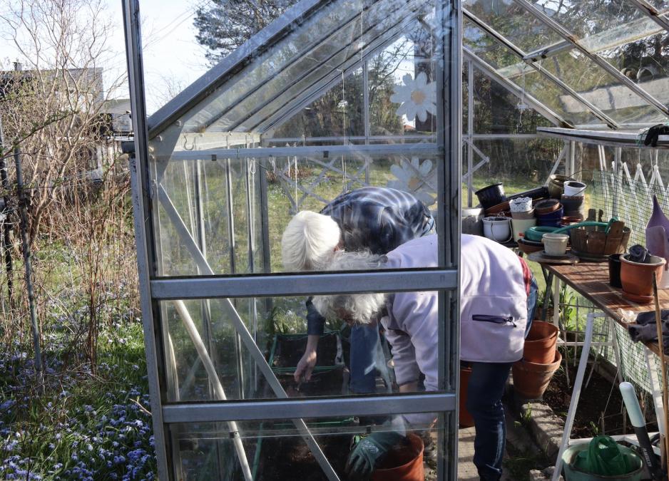 ektepar som sper ut jord i drivhus 