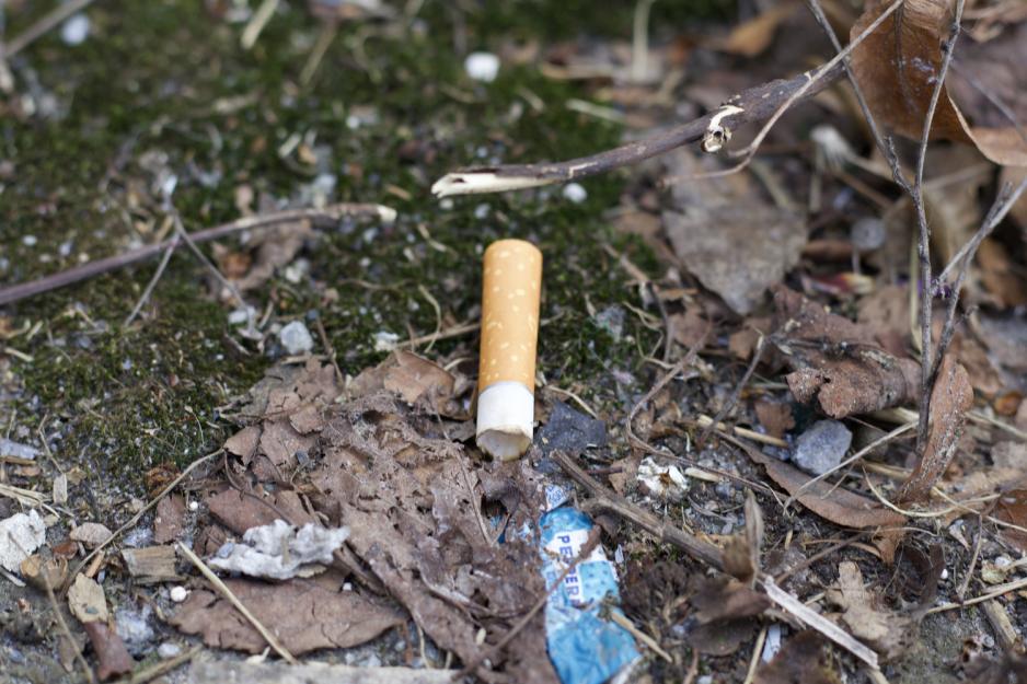 her ser du et n&aelig;rbilde av en r&oslash;yk p&aring; bakken