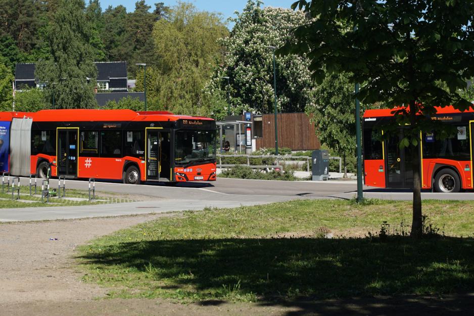 buss